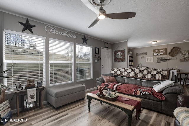 living room with ceiling fan, wood-type flooring, and a textured ceiling