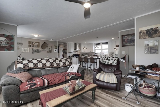 living room with ceiling fan, ornamental molding, a textured ceiling, and light wood-type flooring