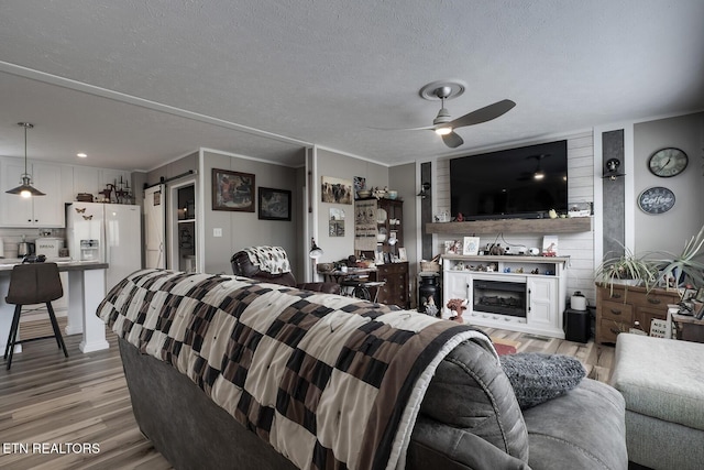 living room featuring ceiling fan, crown molding, light hardwood / wood-style flooring, and a textured ceiling