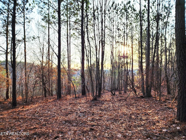 T27 W Robbins Rd, Robbins TN, 37852 land for sale