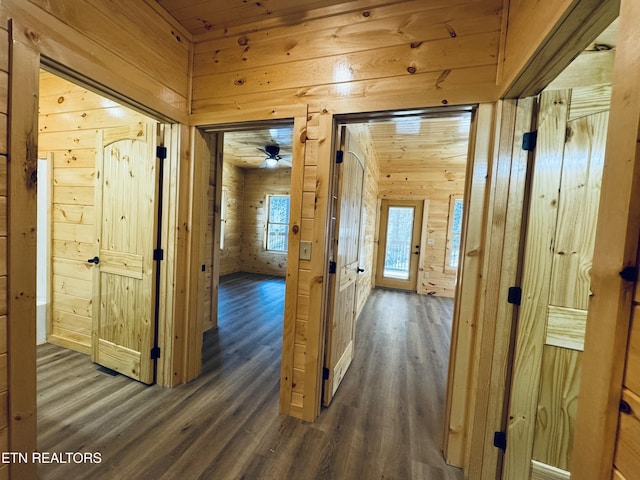 hallway with dark hardwood / wood-style flooring and wood walls