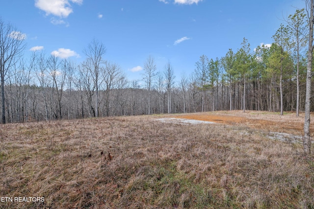 view of local wilderness