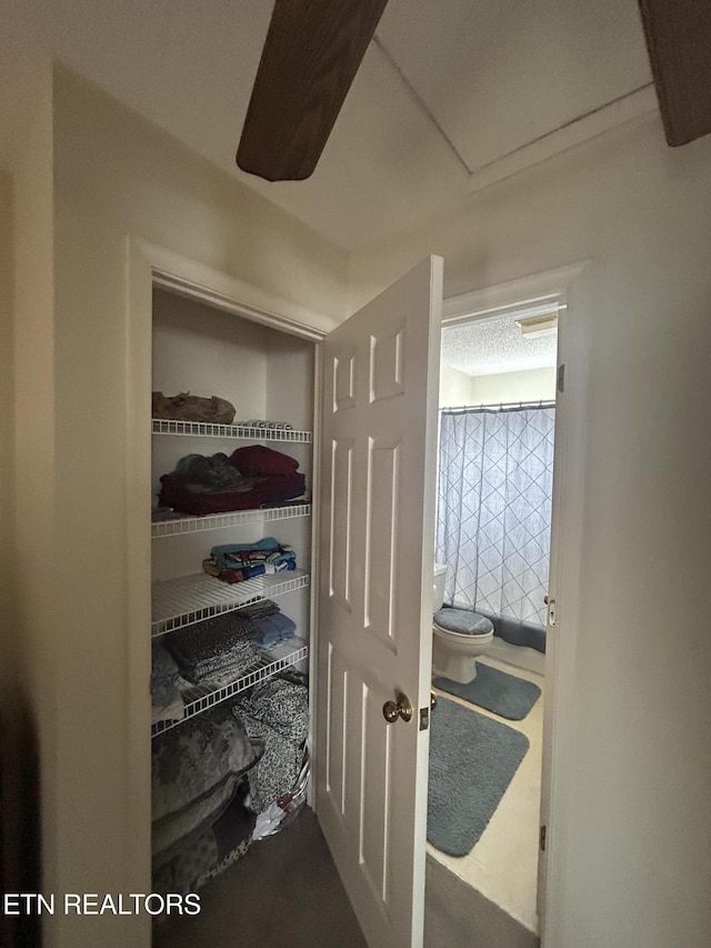 view of closet