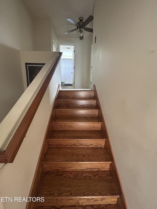 staircase with hardwood / wood-style floors and ceiling fan