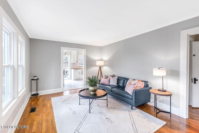 living room with ornamental molding, plenty of natural light, and hardwood / wood-style floors