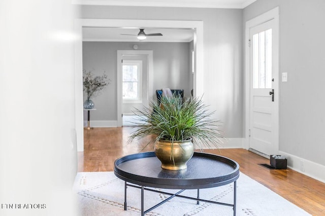 foyer entrance with wood-type flooring, ornamental molding, and ceiling fan