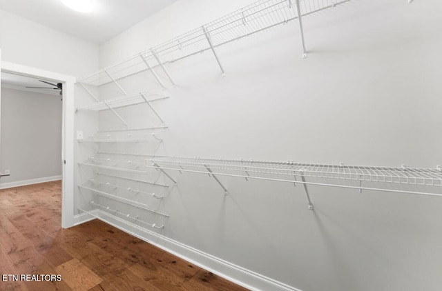 295 Caulderwood Ln, Lenoir City, TN 37771 - walk in closet featuring wood finished floors