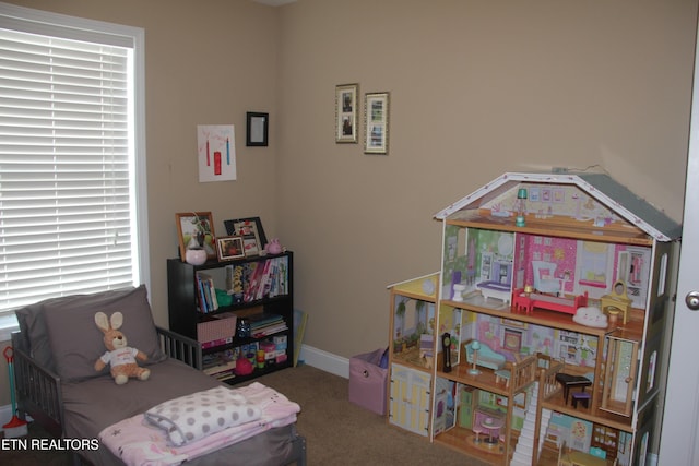 recreation room featuring carpet floors