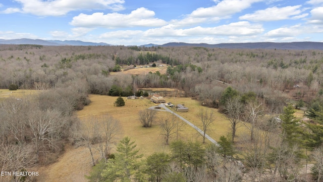 bird's eye view featuring a mountain view