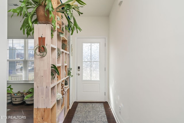 entryway with dark hardwood / wood-style floors