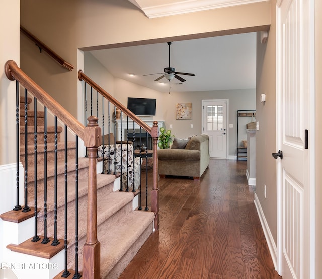 stairway with hardwood / wood-style flooring and ceiling fan