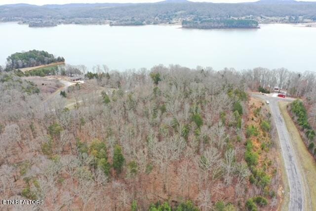 Listing photo 3 for Ridge Top Dr, Rockwood TN 37854