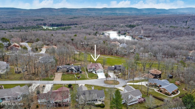 bird's eye view featuring a mountain view