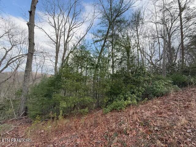 Listing photo 3 for LOT974 Ridgefield Dr, Sevierville TN 37876