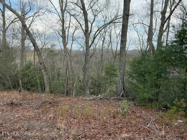 Listing photo 2 for LOT974 Ridgefield Dr, Sevierville TN 37876