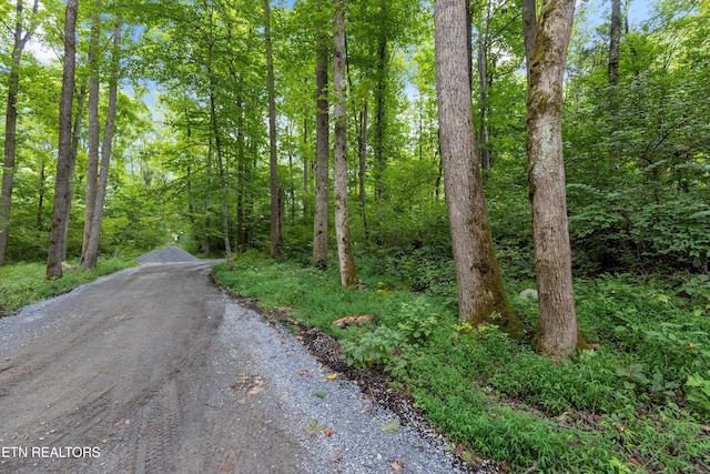 Listing photo 2 for 0 Fontaine Way, Gatlinburg TN 37738