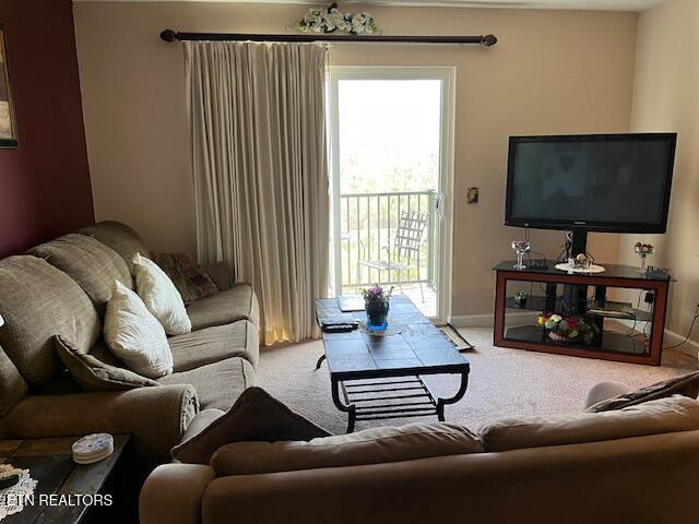 3710 Weber Rd Unit C203, Gatlinburg, TN 37738