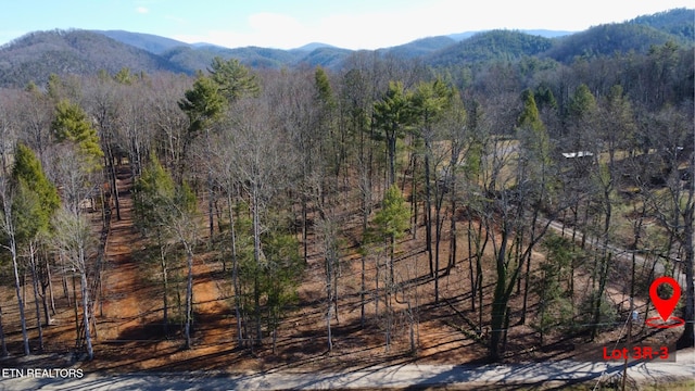 LOT3R-3 Bethel Church Rd, Townsend TN, 37882 land for sale