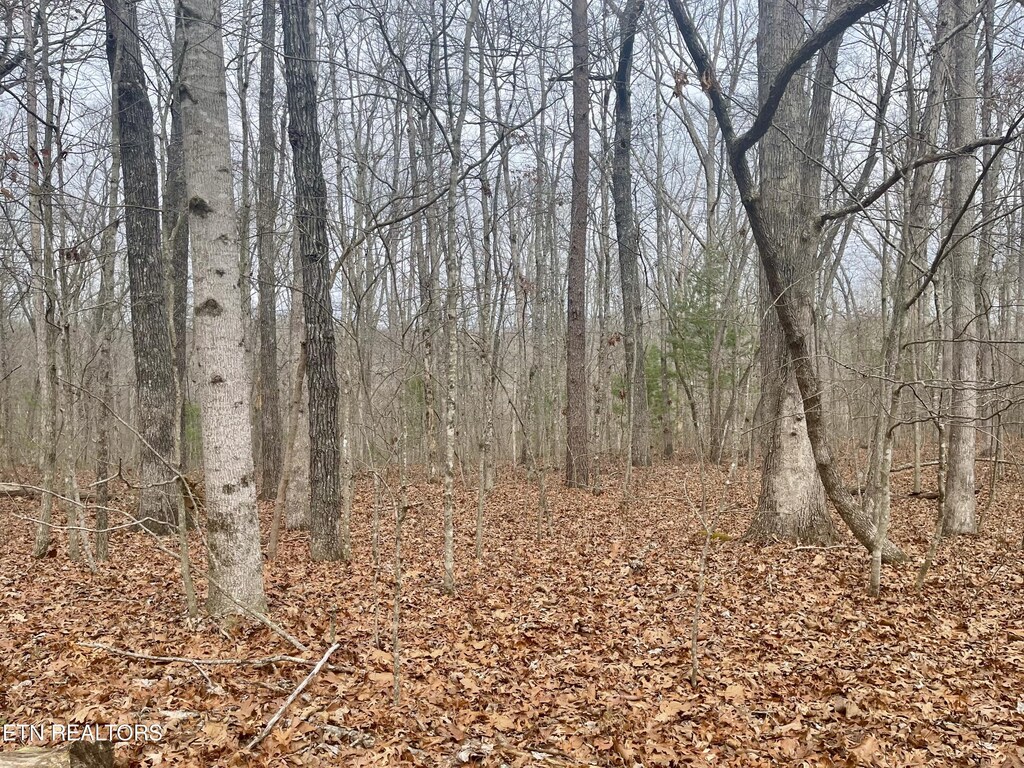 33 Leeds Ter, Crossville, TN 38558 - photo 1
