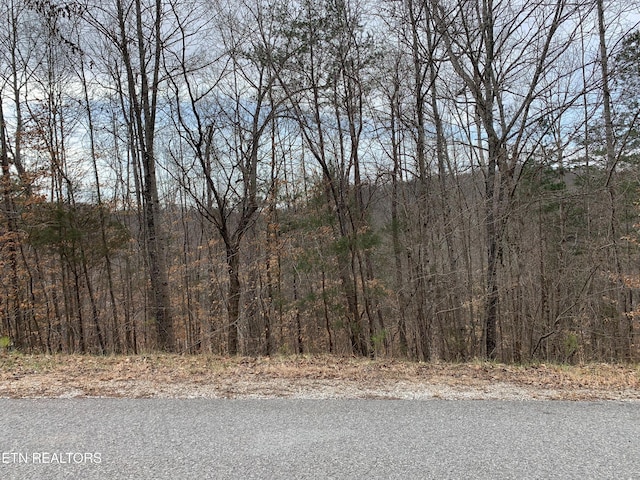 Windsor Ln, Jacksboro TN, 37757 land for sale