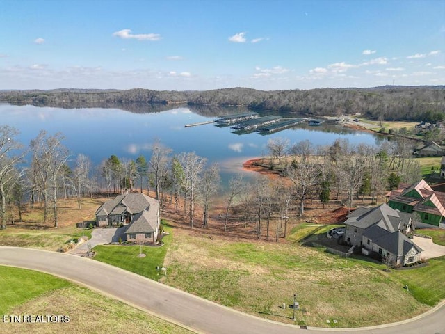 17394 Lighthouse Pointe Dr, Lenoir City, TN 37772
