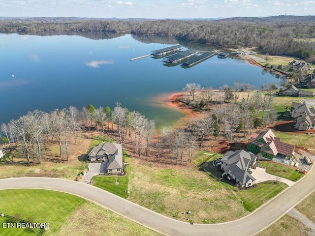 17394 Lighthouse Pointe Dr, Lenoir City, TN 37772