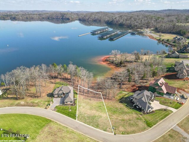 17394 Lighthouse Pointe Dr, Lenoir City, TN 37772