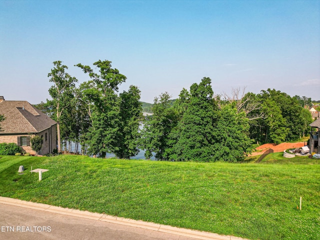 17394 Lighthouse Pointe Dr, Lenoir City, TN 37772 - photo 1