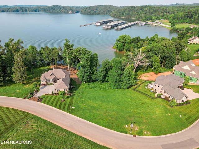 17394 Lighthouse Pointe Dr, Lenoir City, TN 37772 - photo 2