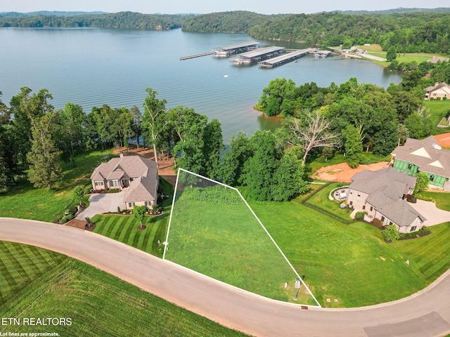17394 Lighthouse Pointe Dr, Lenoir City, TN 37772 - photo 3