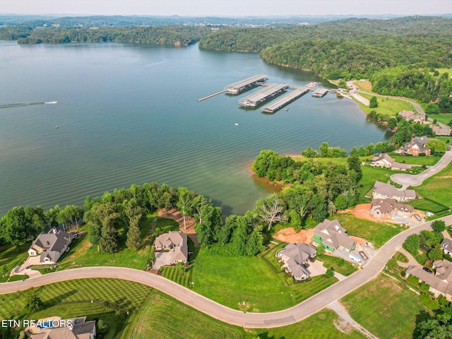 17394 Lighthouse Pointe Dr, Lenoir City, TN 37772 - photo 4