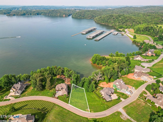 17394 Lighthouse Pointe Dr, Lenoir City, TN 37772 - photo 5
