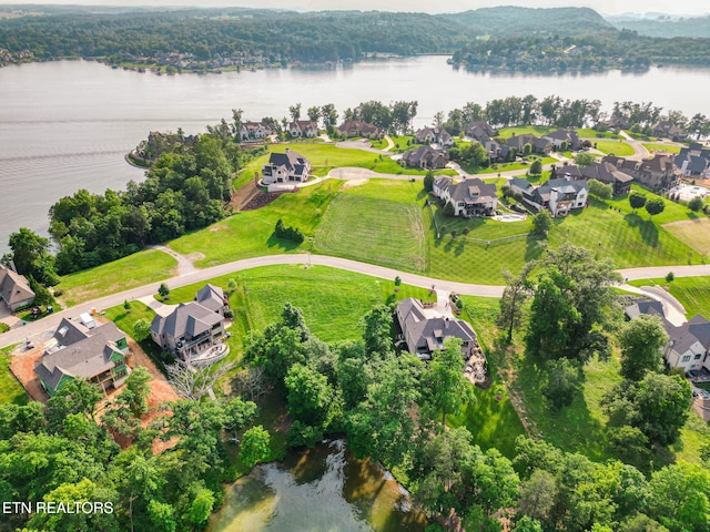 17394 Lighthouse Pointe Dr, Lenoir City, TN 37772 - photo 8