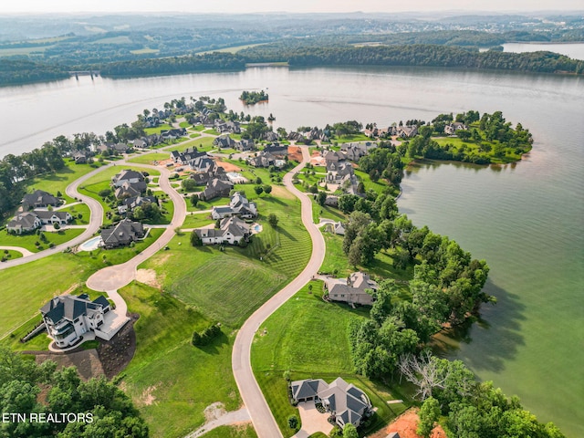 17394 Lighthouse Pointe Dr, Lenoir City, TN 37772 - photo 10
