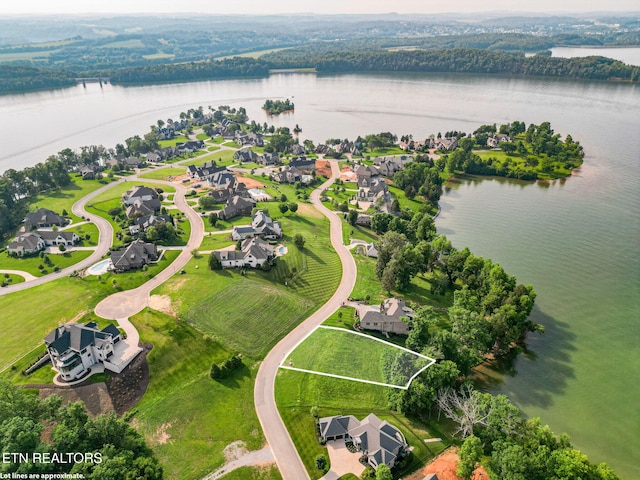 17394 Lighthouse Pointe Dr, Lenoir City, TN 37772 - photo 11