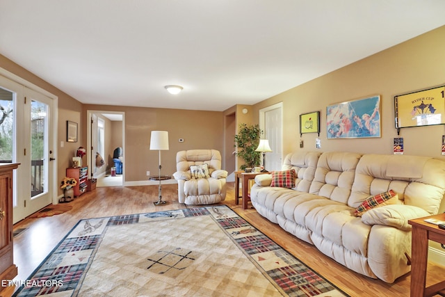 living room featuring wood-type flooring