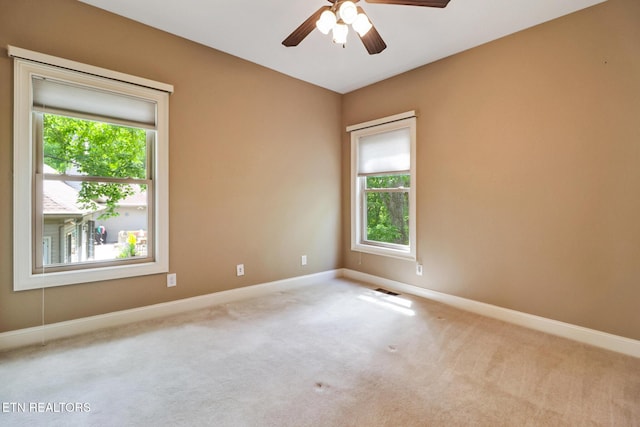 124 Lynhurst Dr, Crossville, TN 38558 - photo 29