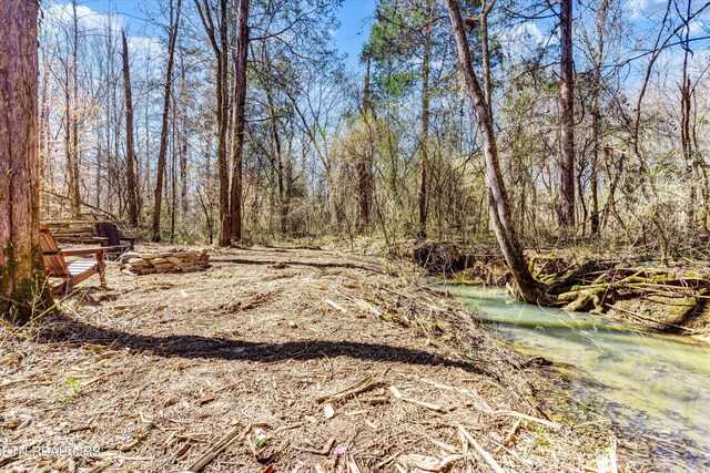 2042 Niles Ferry Rd, Madisonville, TN 37354 - photo 7