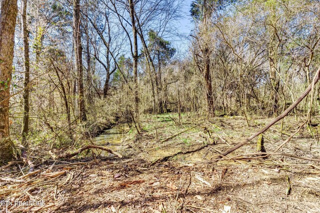 2042 Niles Ferry Rd, Madisonville, TN 37354 - photo 8