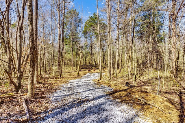 2042 Niles Ferry Rd, Madisonville, TN 37354 - photo 9