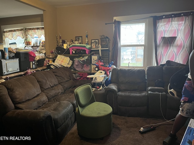 view of carpeted living room