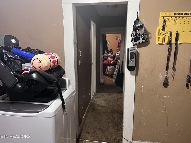 laundry room with carpet flooring