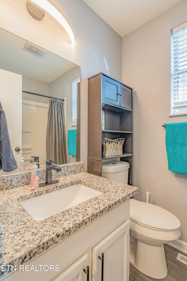 bathroom featuring vanity, a shower with curtain, and toilet