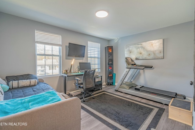 bedroom with light hardwood / wood-style floors