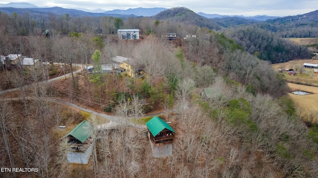 birds eye view of property with a mountain view