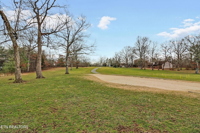 view of community featuring a lawn