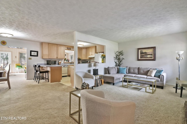 carpeted living room with a textured ceiling