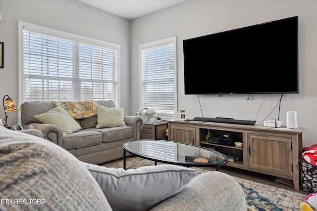 living area with wood finished floors