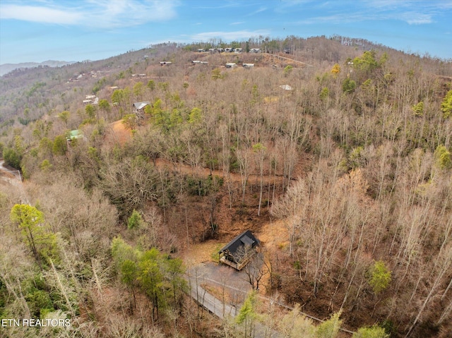 bird's eye view with a mountain view