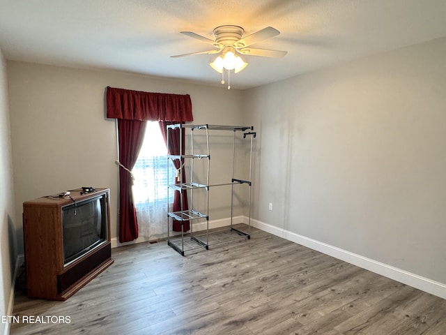 interior space featuring ceiling fan and wood-type flooring